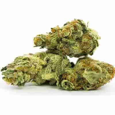 Banana Berry Cheese Fem