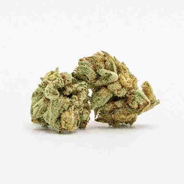 Blood Diamond OG Photo Fem