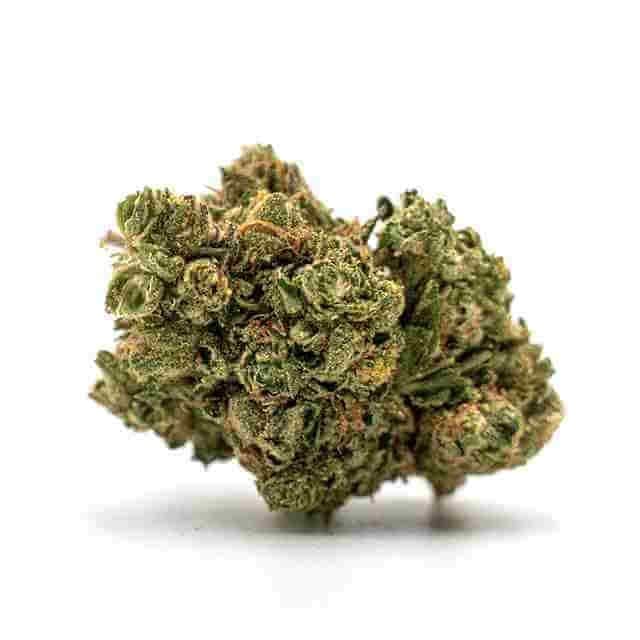 Ice Cream Cake Photo Fem