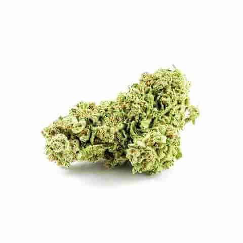 Lemon Garlic Photo Fem