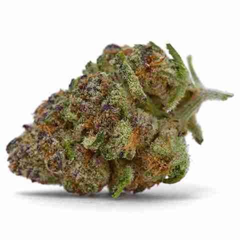 OG Kush Fast Photo Fem