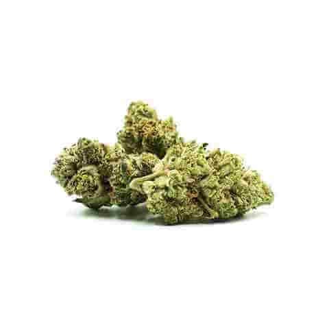 Shiskaberry Candida Fast Photo Fem