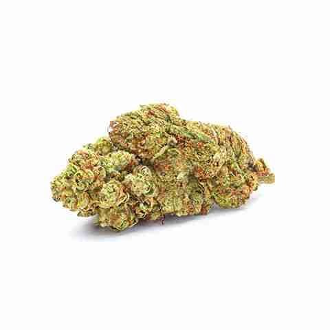 Tahoe Banana Sherbet Photo Fem